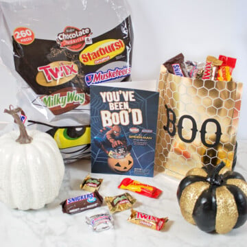 Easy Halloween Candy Gift Bag Sewing Tutorial Mars Candy Boo It Forward