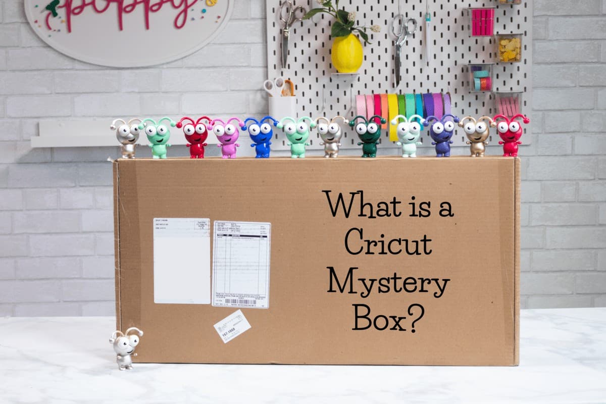 Cricut Mystery Box Utah craft Sweet Red Poppy