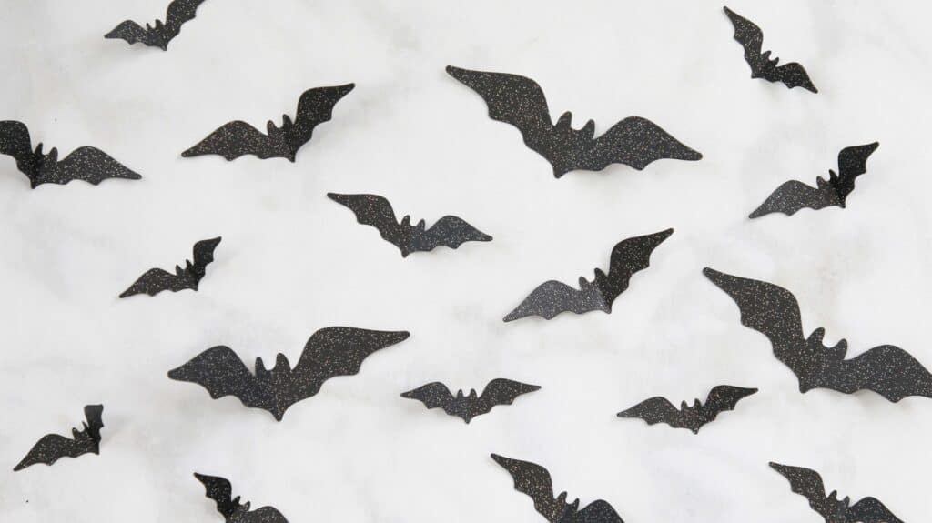 Paper Wreath by popular US craft blog, Sweet Red Poppy: image of black paper bats.