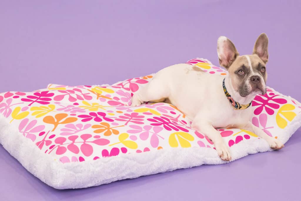 Free Dog Bed Sewing Pattern Sweet Red Poppy