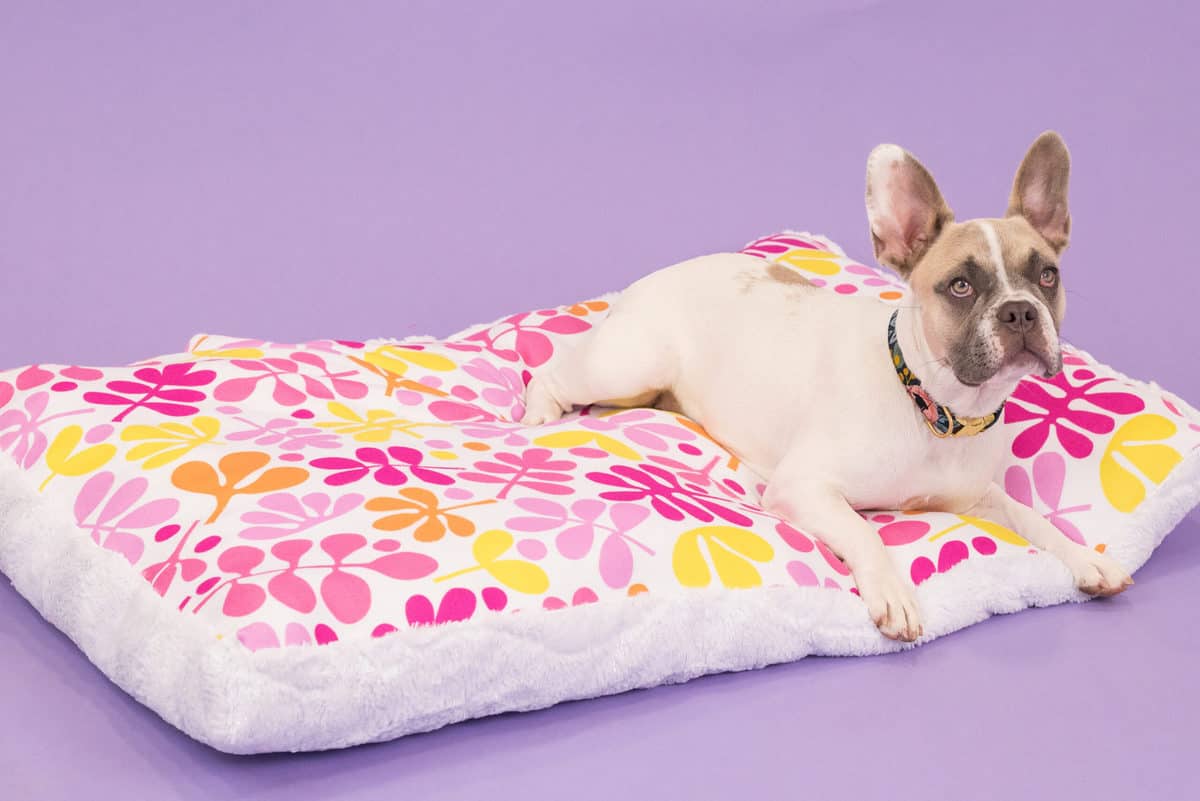 PDF Sewing Pattern for a Comfortable Soft Bed for Small Dogs 