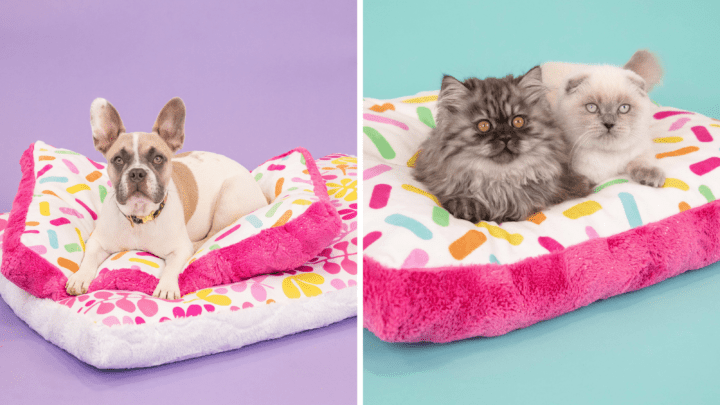 Free Dog Bed Sewing Pattern - Sweet Red Poppy