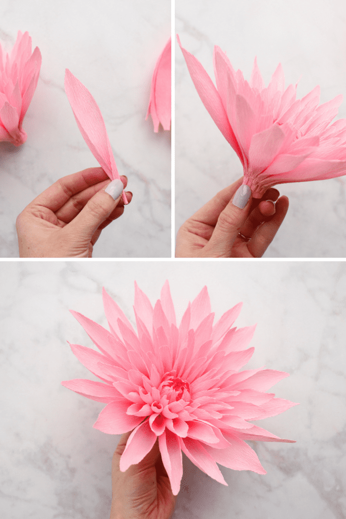 Crepe Paper Flower Resource Guide - Sweet Red Poppy