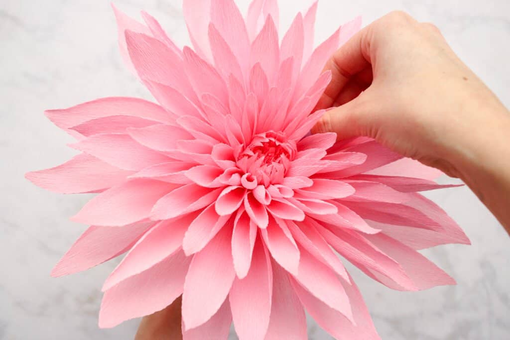 Paper Dahlia - Simple DIY Gift Topper - Polished Habitat