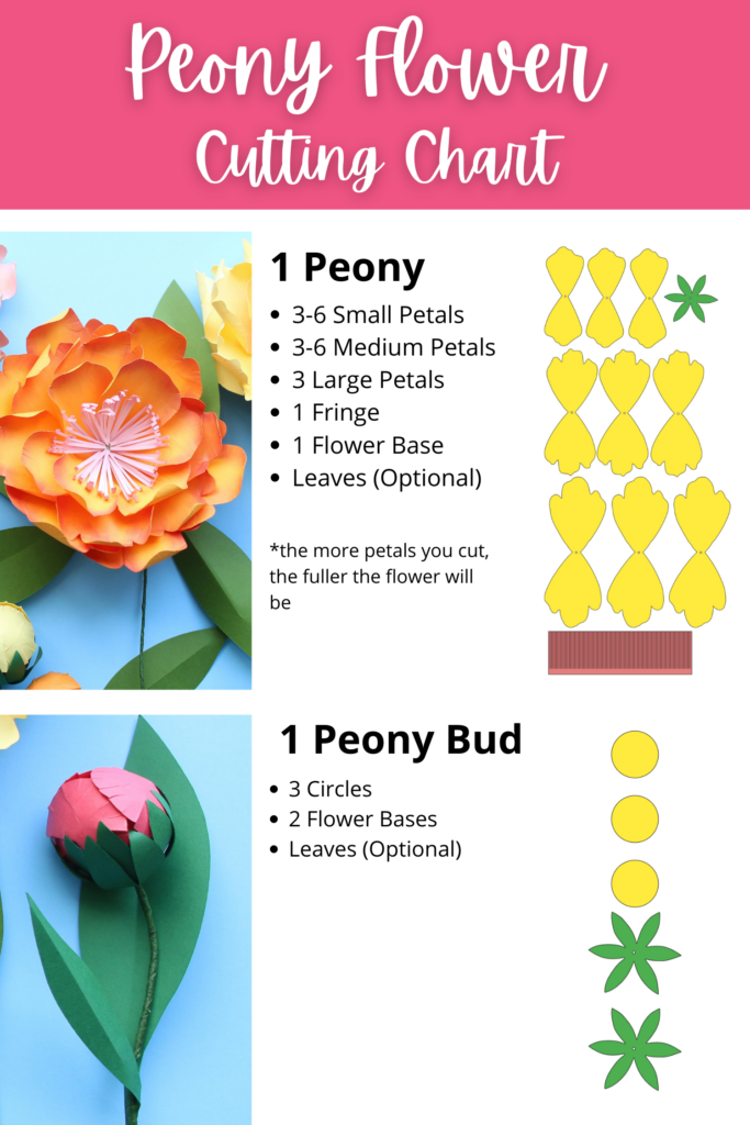 Peony Paper Flower · Creative Fabrica