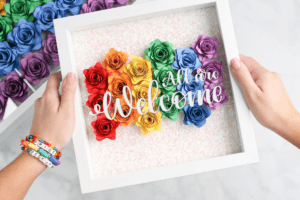 Rainbow Pride Rolled Flower Shadow Box - Sweet Red Poppy