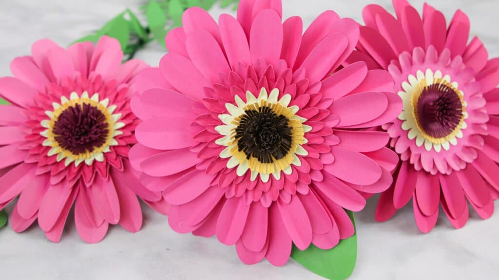 Gerbera Daisy Paper Flower Free Template
