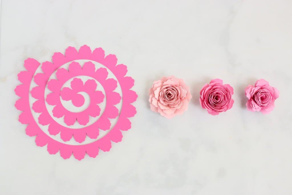 Rolled Paper Flower Template Free
