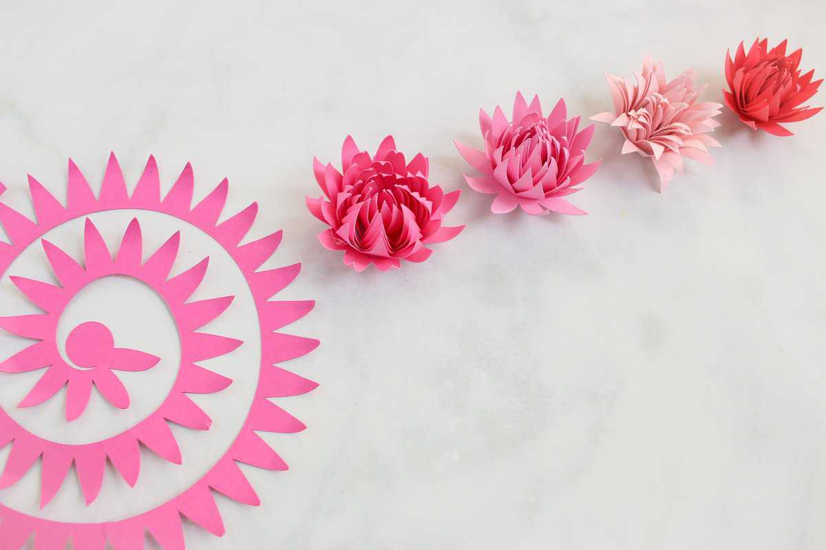 Paper Flower Supplies