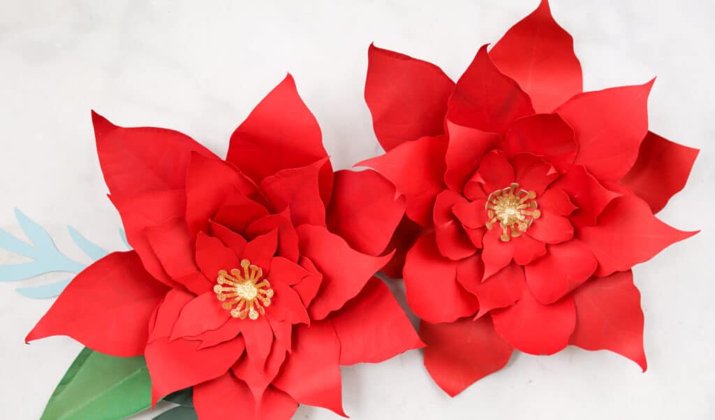 Two finished Poinsettia Paper Flowers. 