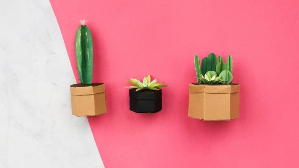 How to Make a Cactus plant with paper