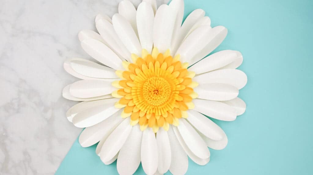 Gerbera Daisy Paper Flower Free Template