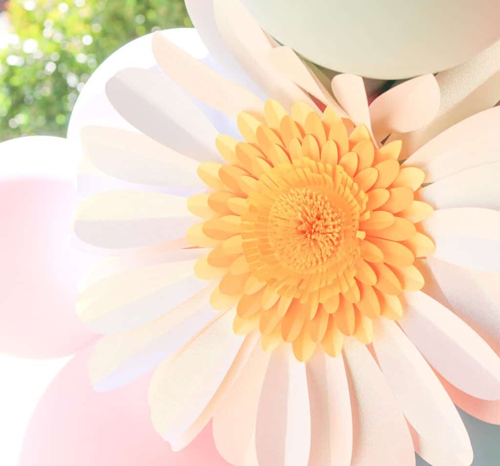 Gerbera Daisy Paper Flower Free Template