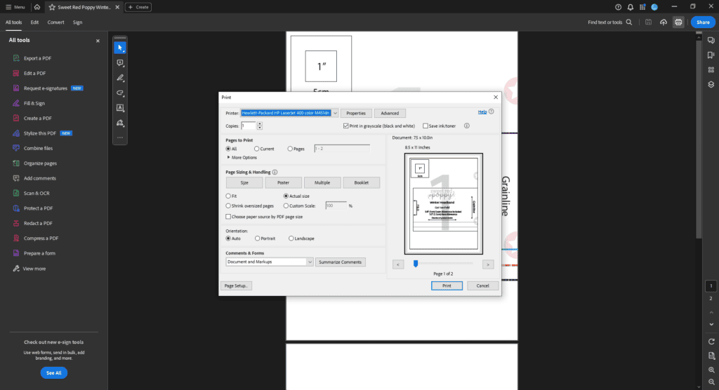 print settings dialog box in the pdf reader