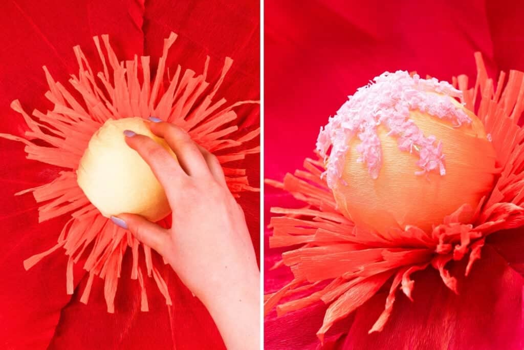 Giant Poppy Flowers-Sweet Red Poppy