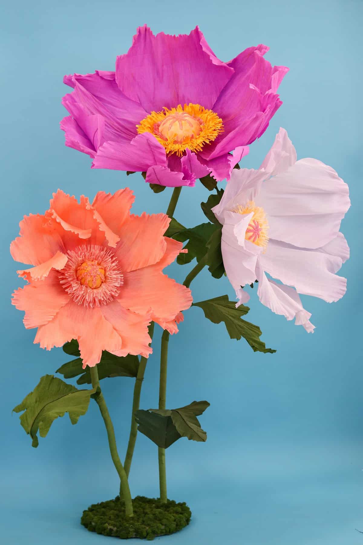 How to Make Giant Crepe Paper Poppy Flowers Sweet Red Poppy