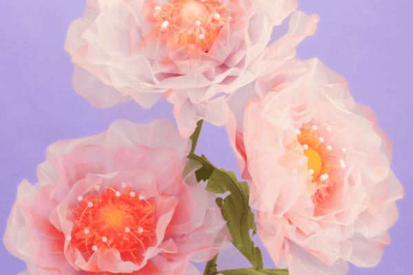 Giant Organza Flower Printable Template